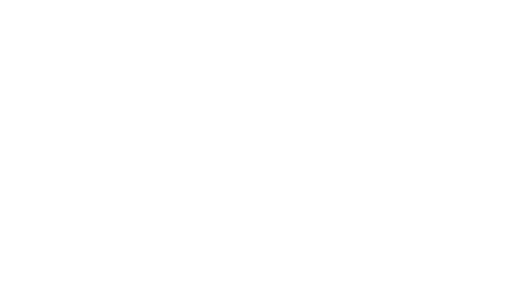 Northern Snow Show