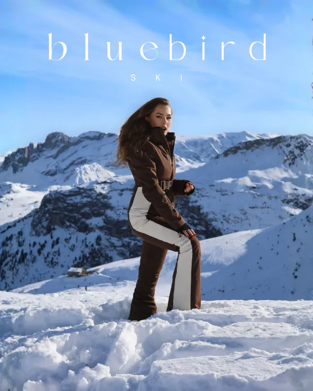 Bluebird Ski