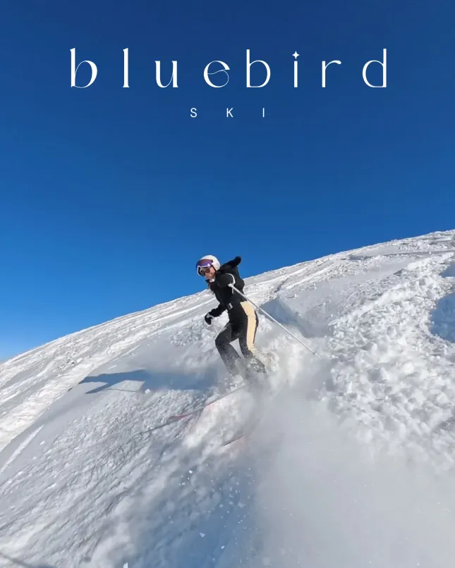 Bluebird Ski